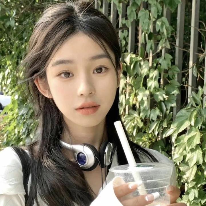 奈良真相 海报